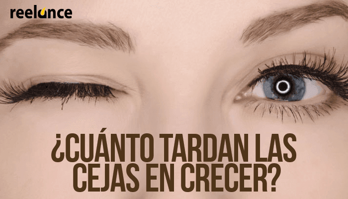 ¿Cuánto tardan las cejas en crecer?