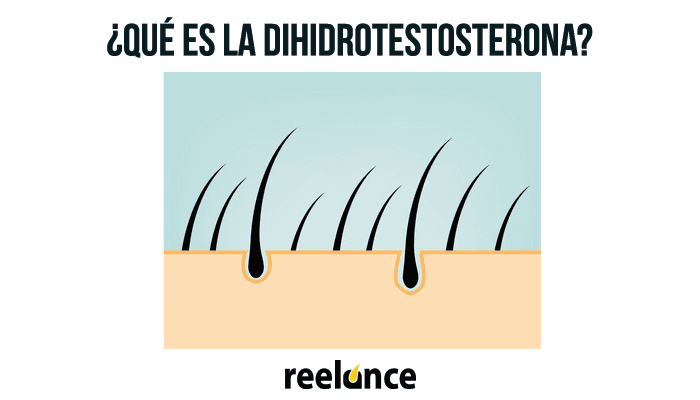 ¿Qué es la dihidrotestosterona?