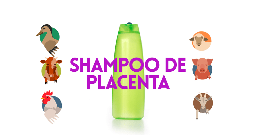 shampoo de placenta